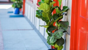 A row of red doors with potted plants in front.