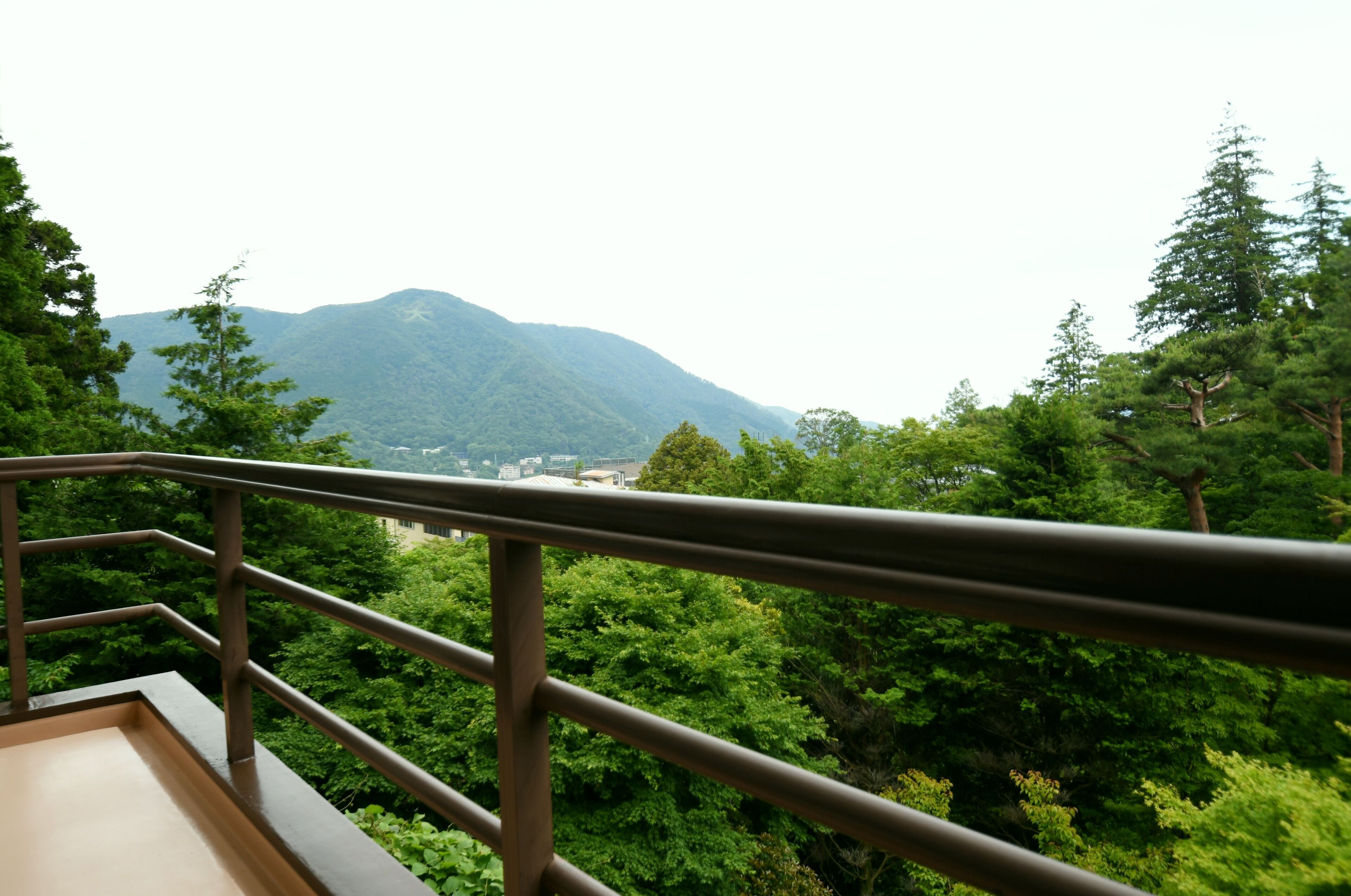 Foto - Hotel Marroad Hakone