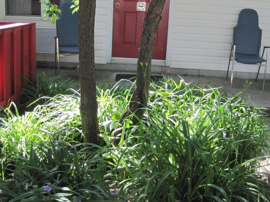 Área da propriedade