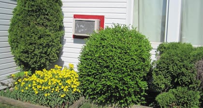 Rosecourt Motel