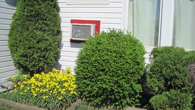 Rosecourt Motel
