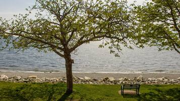 A park bench near a tree by a lake with a rocky shoreline.