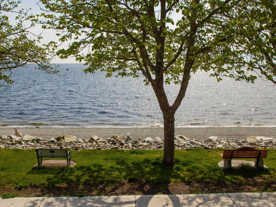 Waterfront King | View from room