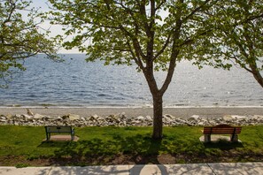 Vista desde la habitación