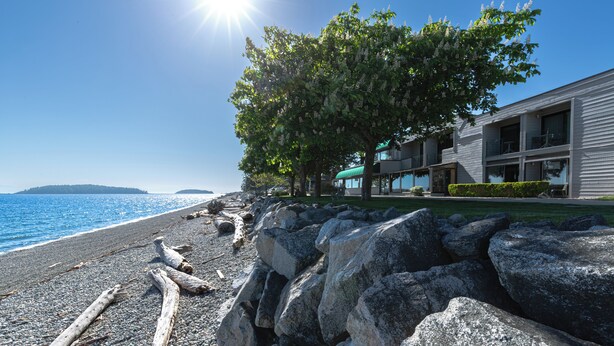 A coastal hotel with a rocky shoreline, a large tree, and a view of the sea. - Sechelt Inn (Sechelt)