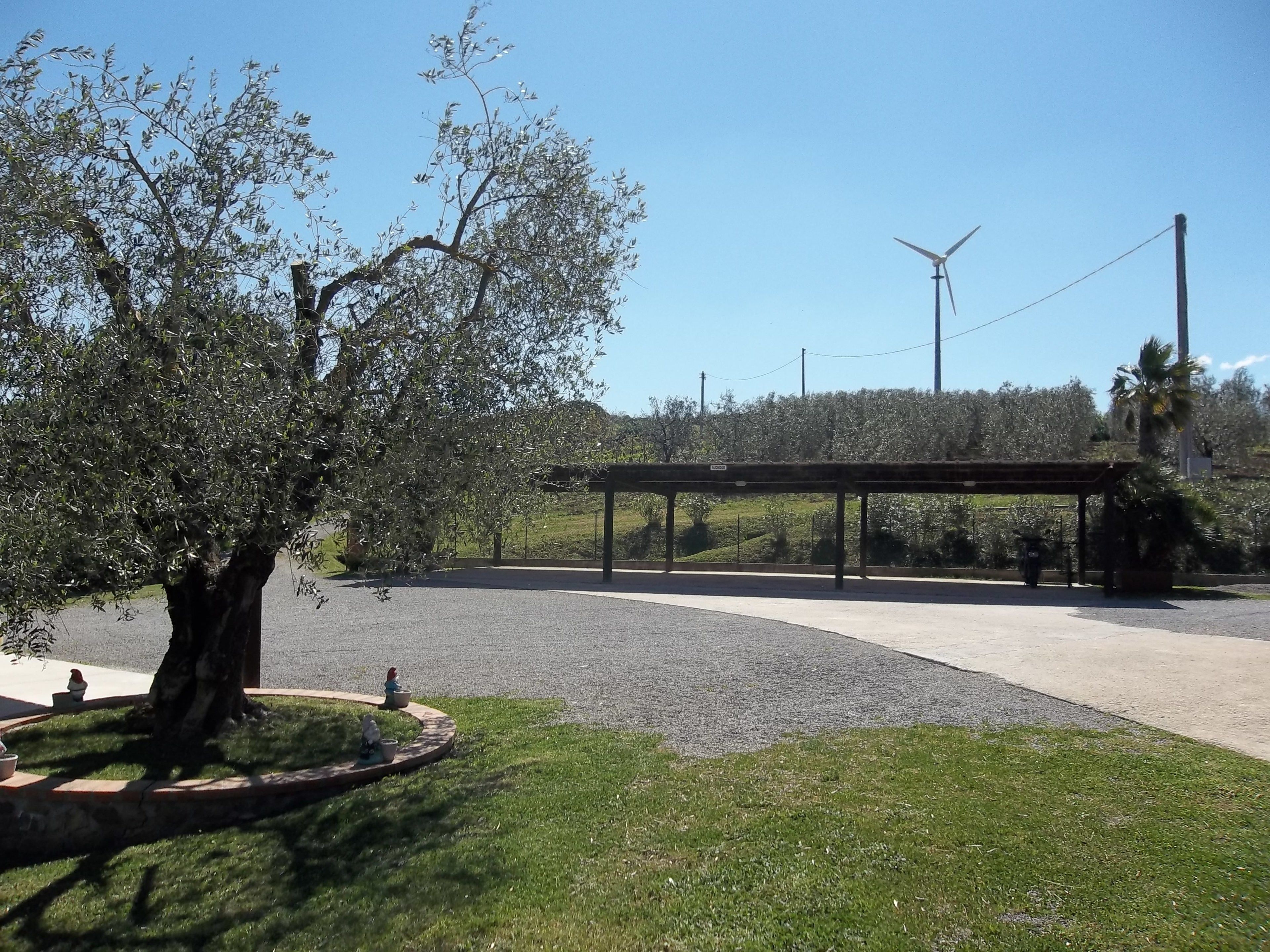 A covered outdoor area with a seating arrangement, a tree, and a wind turbine in the background.