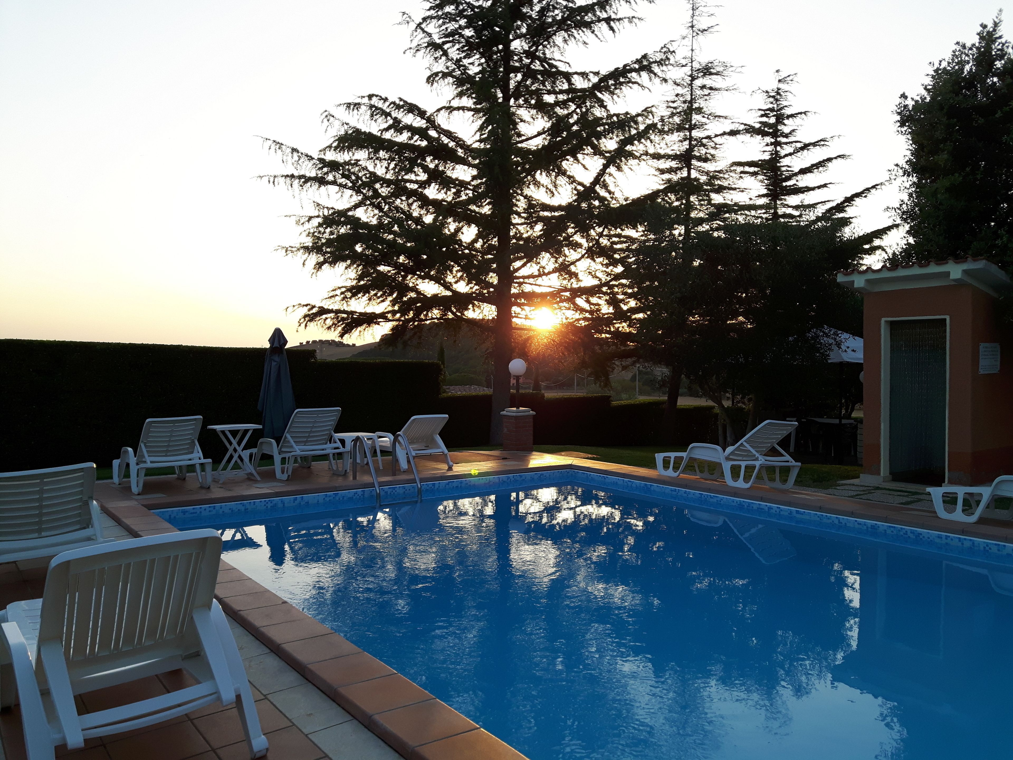 A swimming pool with lounge chairs and a tree in the background.