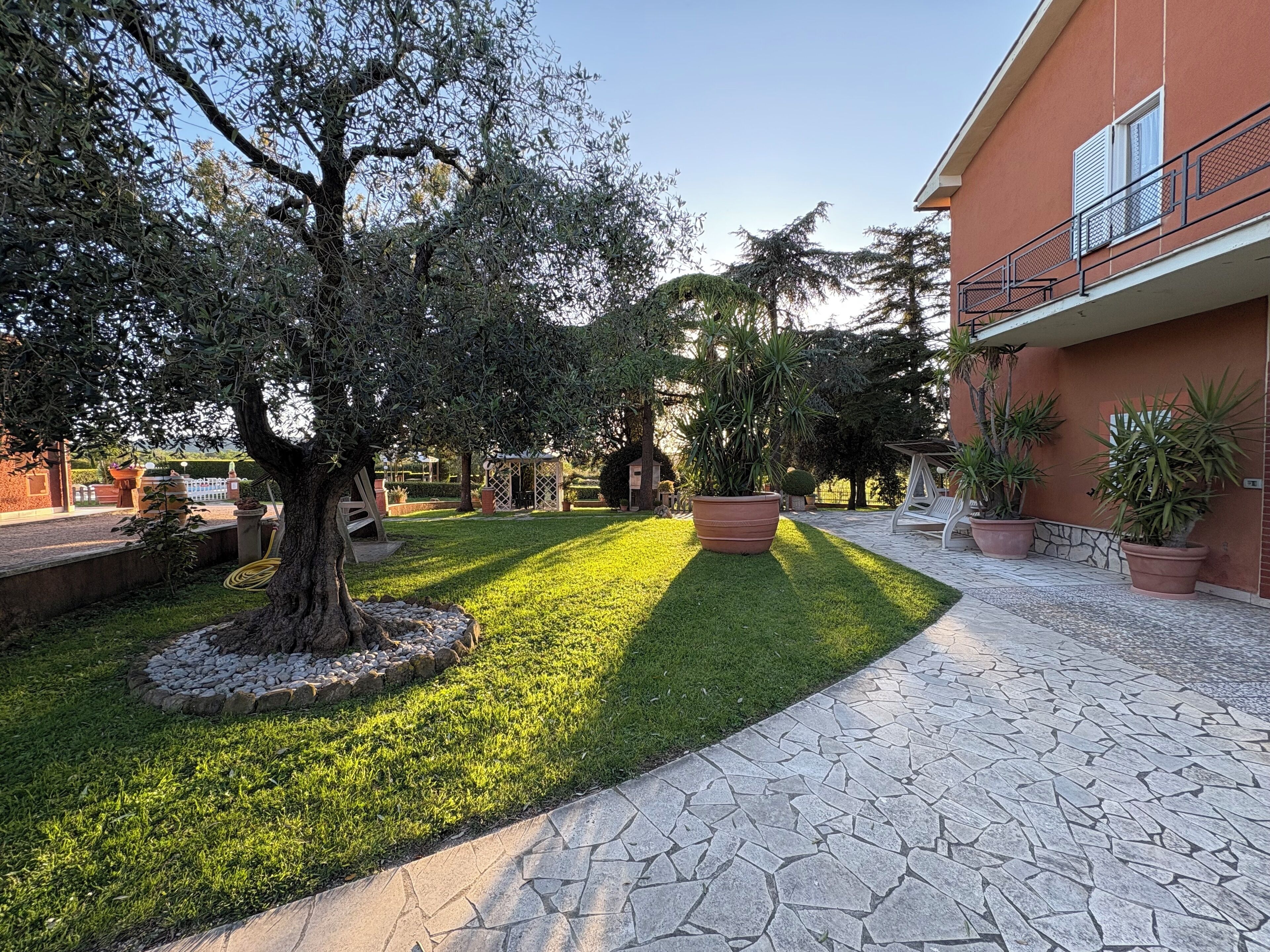 Eksteriør