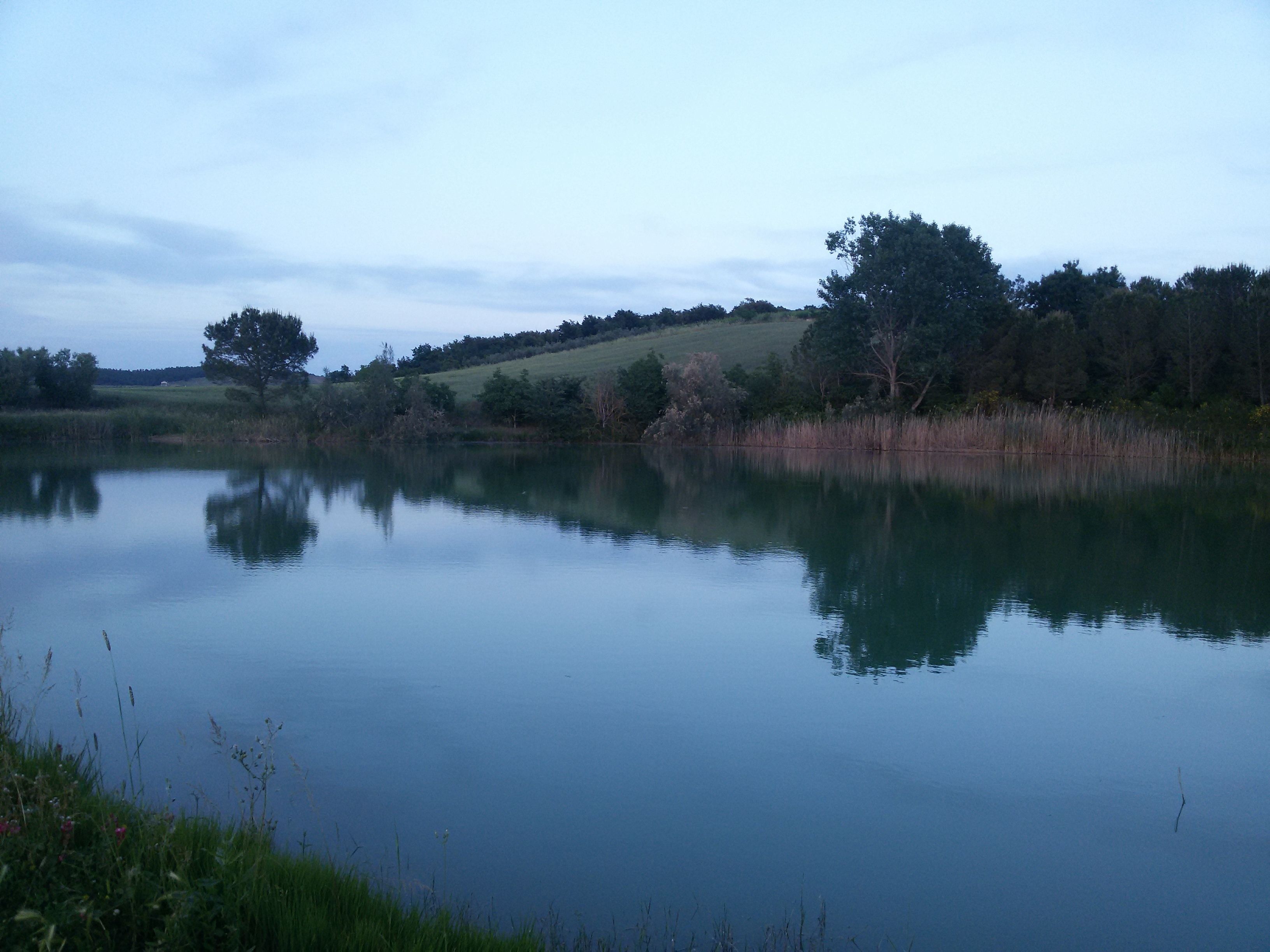 Un lac paisible, bordé d’arbres et de rives verdoyantes.