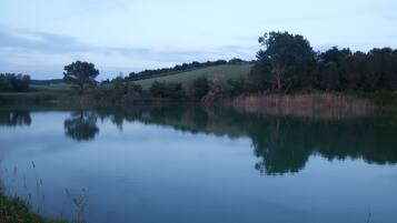 Un lac paisible, bordé d’arbres et de rives verdoyantes.
