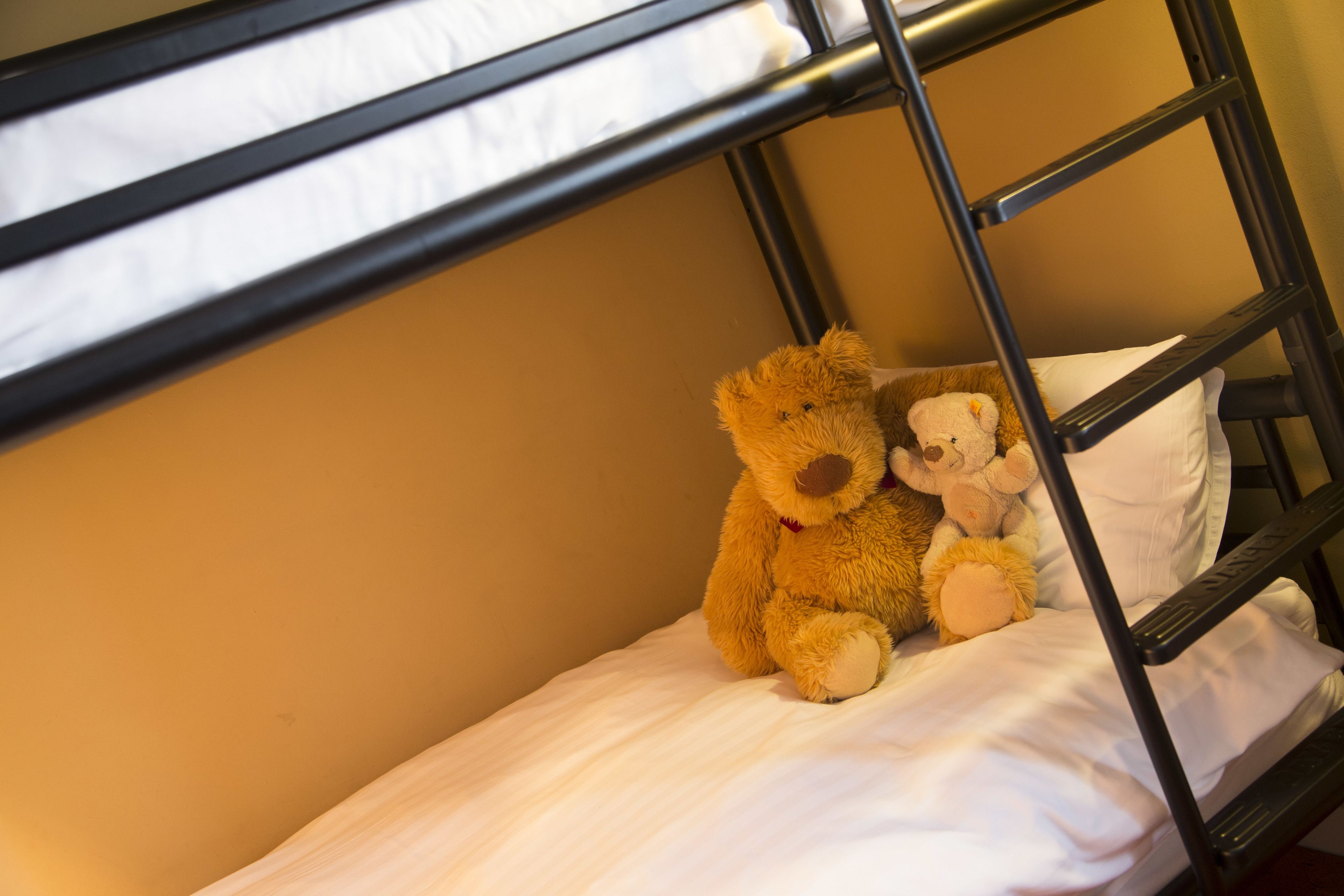 Een stapelbed met twee teddyberen op het onderste bed.