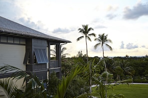 Property grounds - The Island House (Nassau)