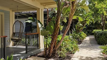 Junior Suite, 1 King Bed, Terrace, Pool View