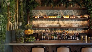 A bar area with a marble backsplash, shelves with bottles, and a variety of plants. - The Island House (Nassau)