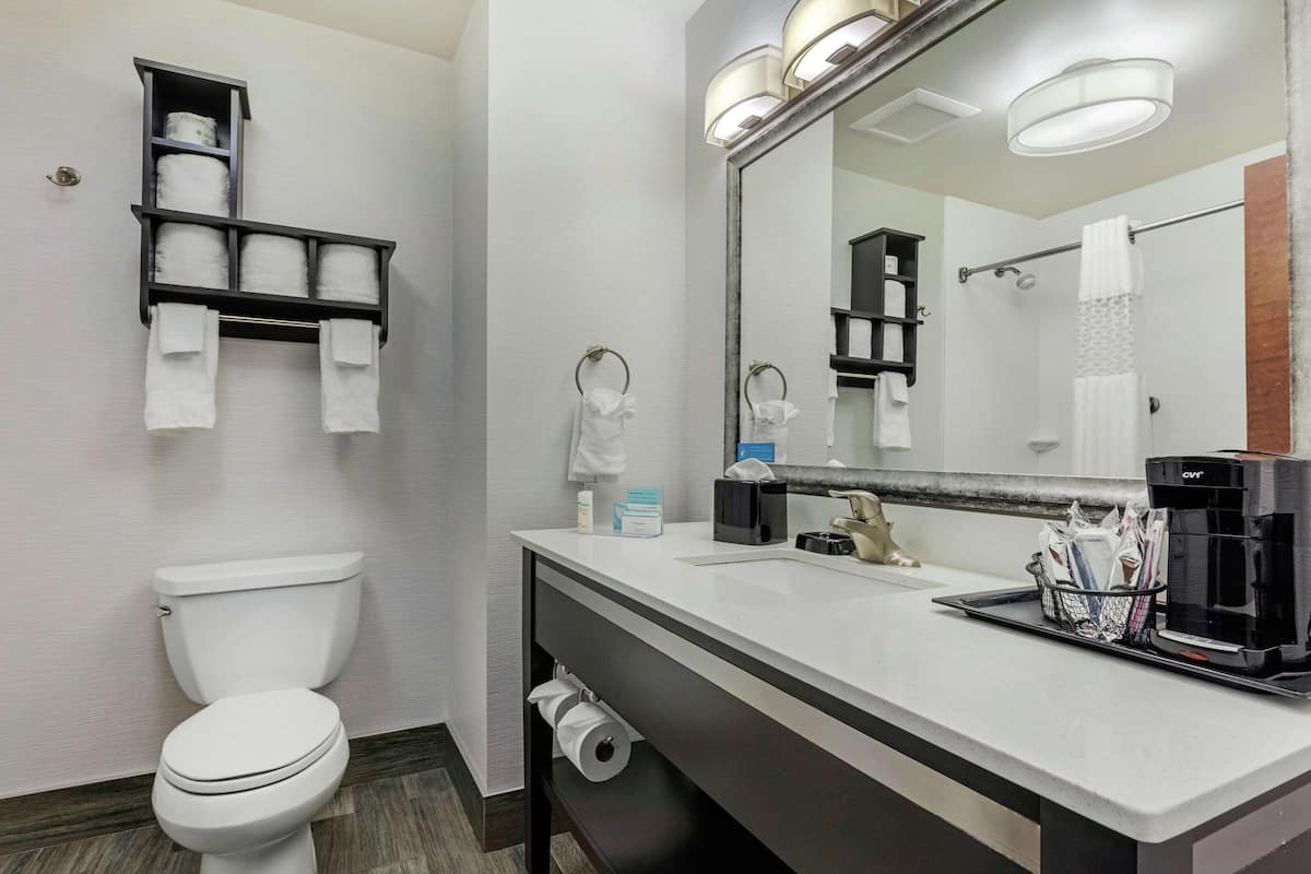 combined shower/bathtub, free toiletries, hair dryer, towels