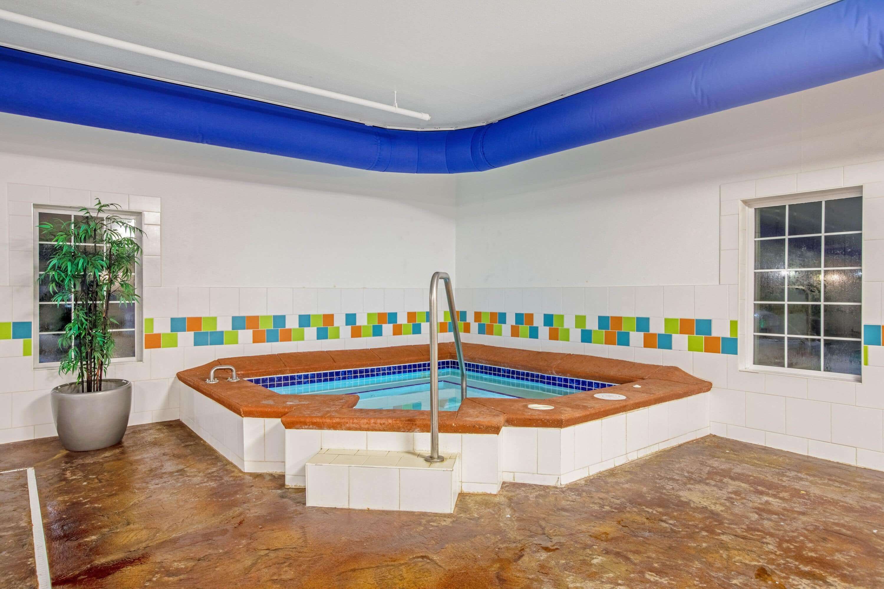 Une pièce avec un jacuzzi, une plante en pot et un mur recouvert de carreaux colorés.