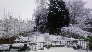 A snowy garden with a variety of trees and shrubs, a metal fence, and a stone wall. - Guesthouse Pickery (Bruges)