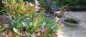 Guesthouse Pickery