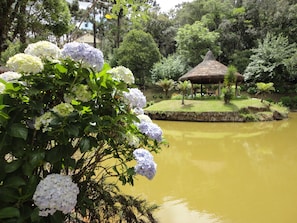 Un jardin paisible avec un étang, une végétation luxuriante et un kiosque à toit de chaume.