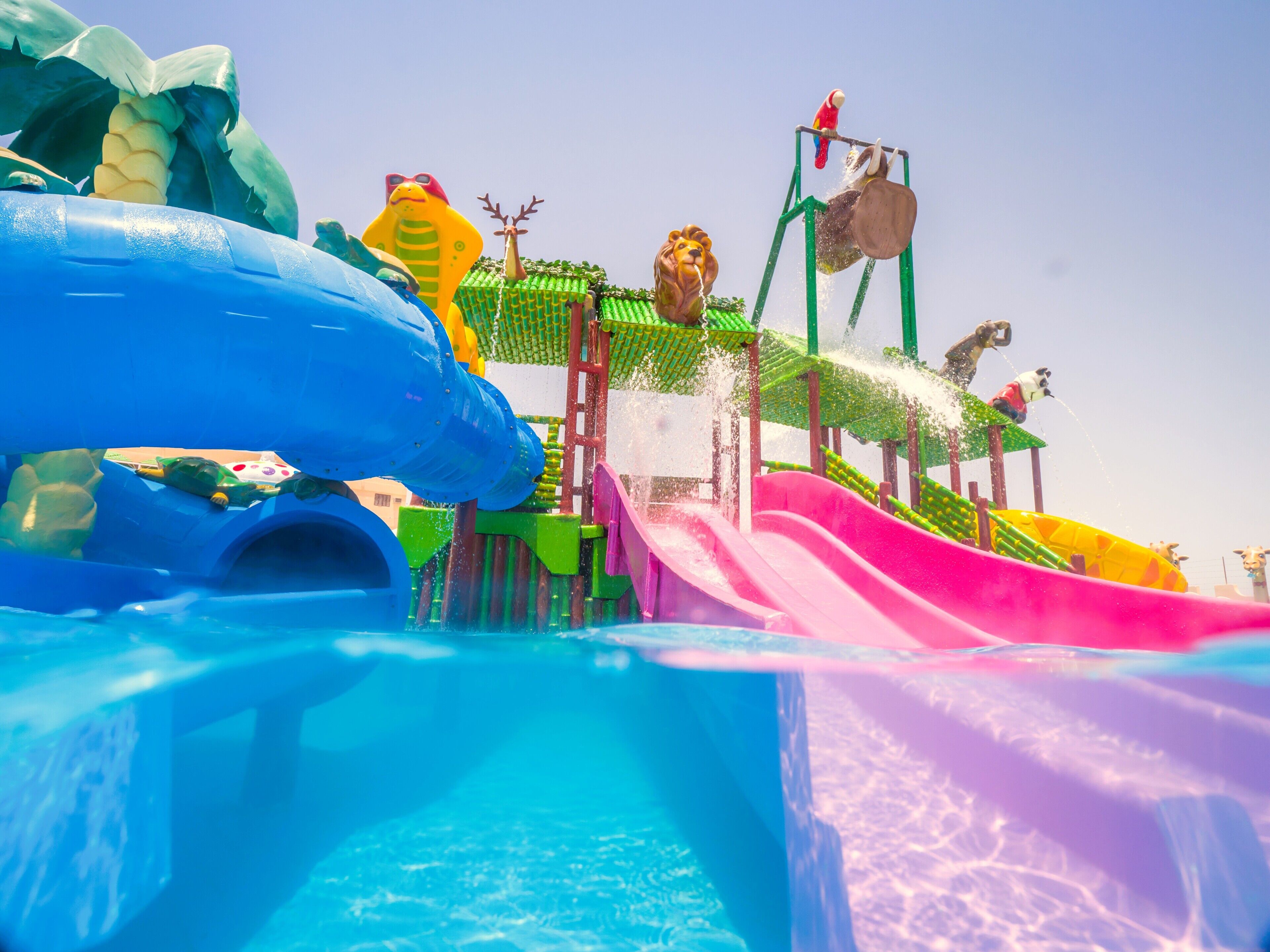 A water park with multiple slides and inflatable structures.