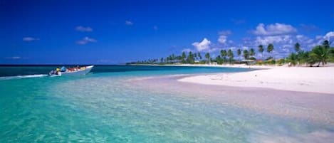 Pantai di sekitar, pasir putih, scuba diving, dan berselancar