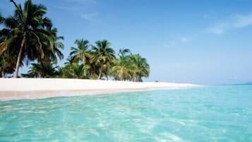 Beach nearby, white sand, scuba diving, surfing