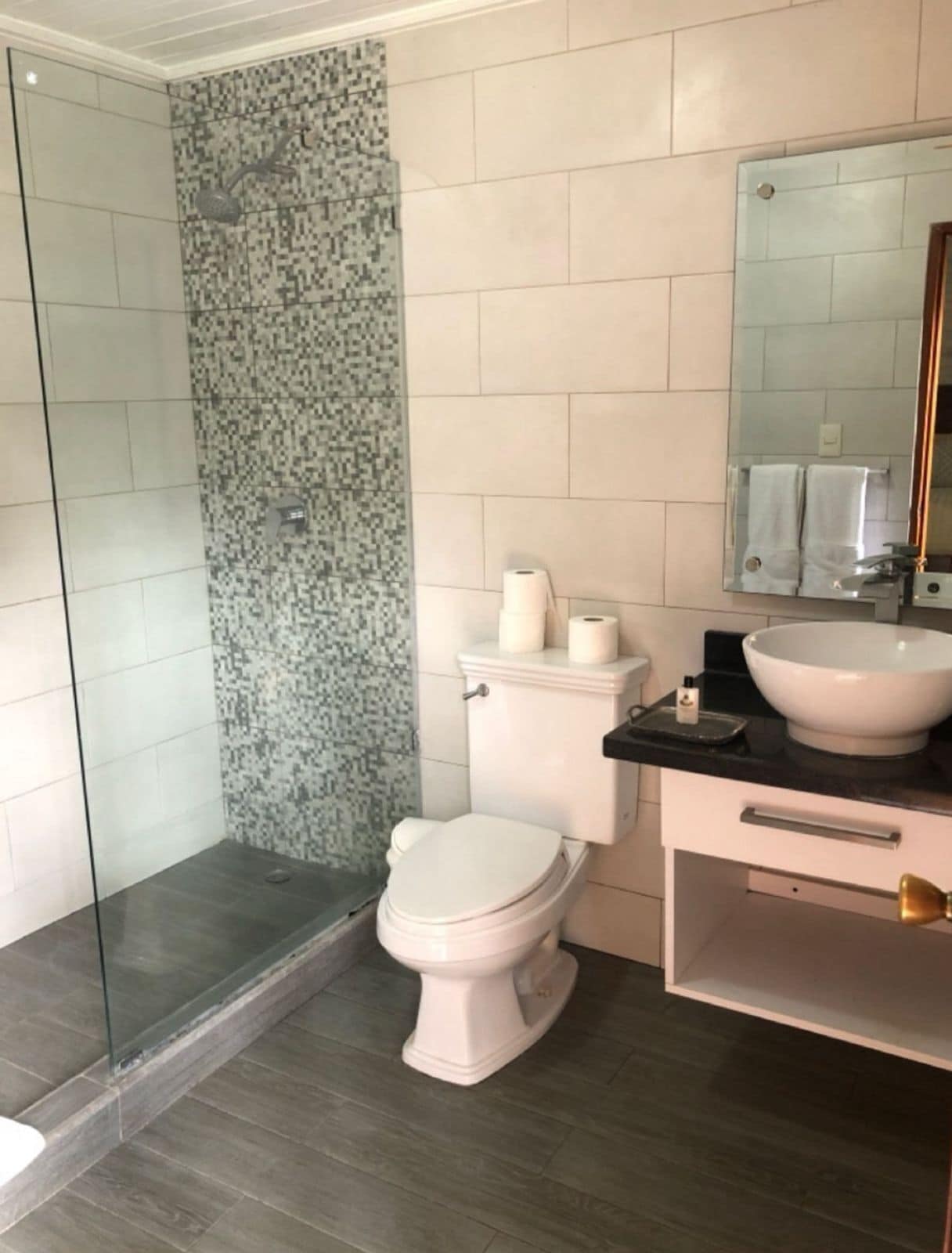 A bathroom with a glass shower enclosure, a toilet, a sink with a mirror, and a toilet paper holder.
