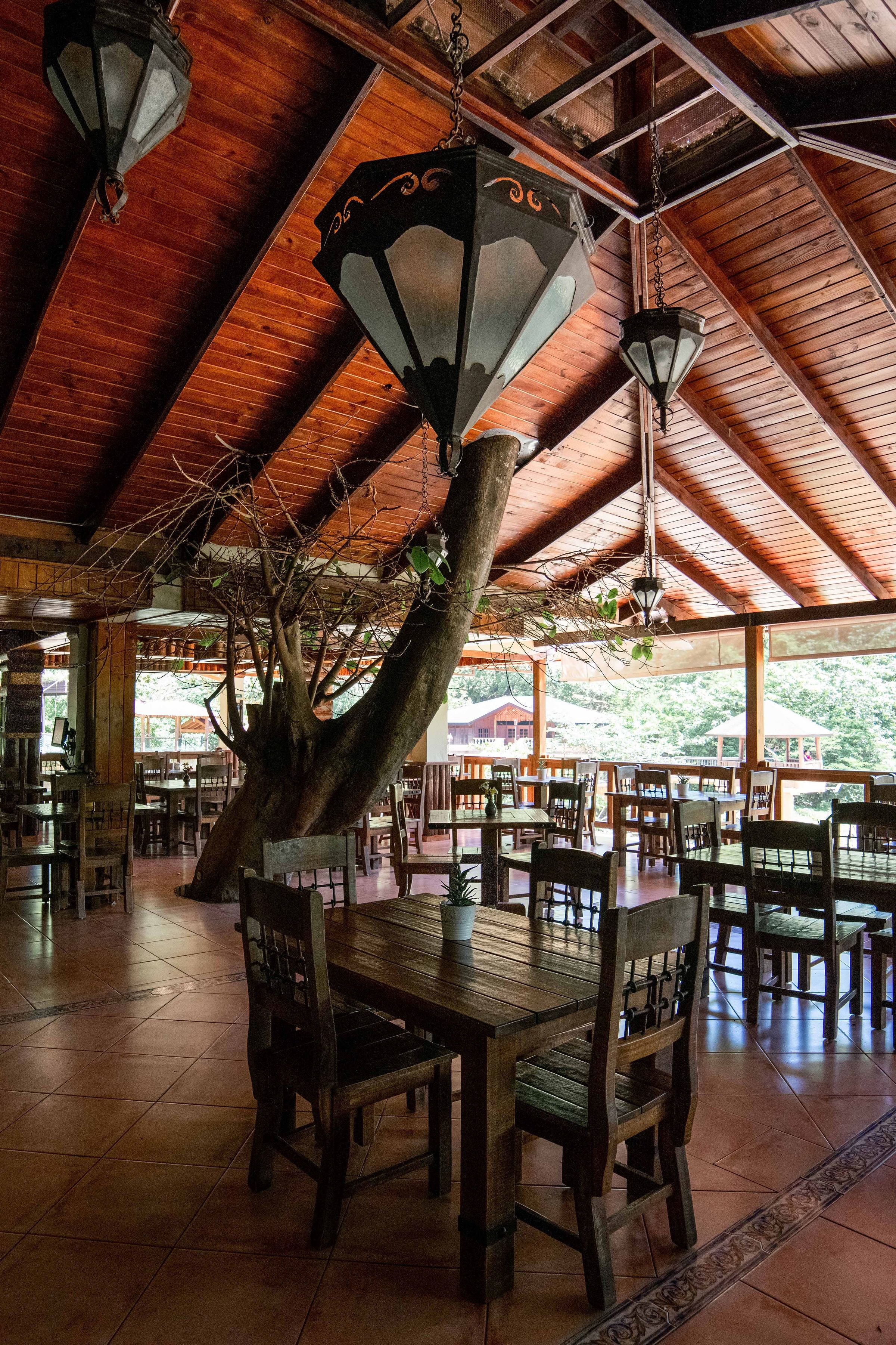 A restaurant with wooden tables and chairs, hanging lanterns, and a large tree trunk in the center.