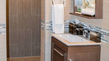 A modern bathroom with a walk-in shower, a vanity with a mirror, and a toilet.