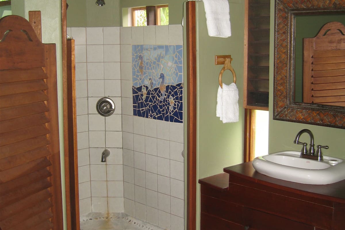 suite (queen bed) | bathroom | shower, hair dryer, towels