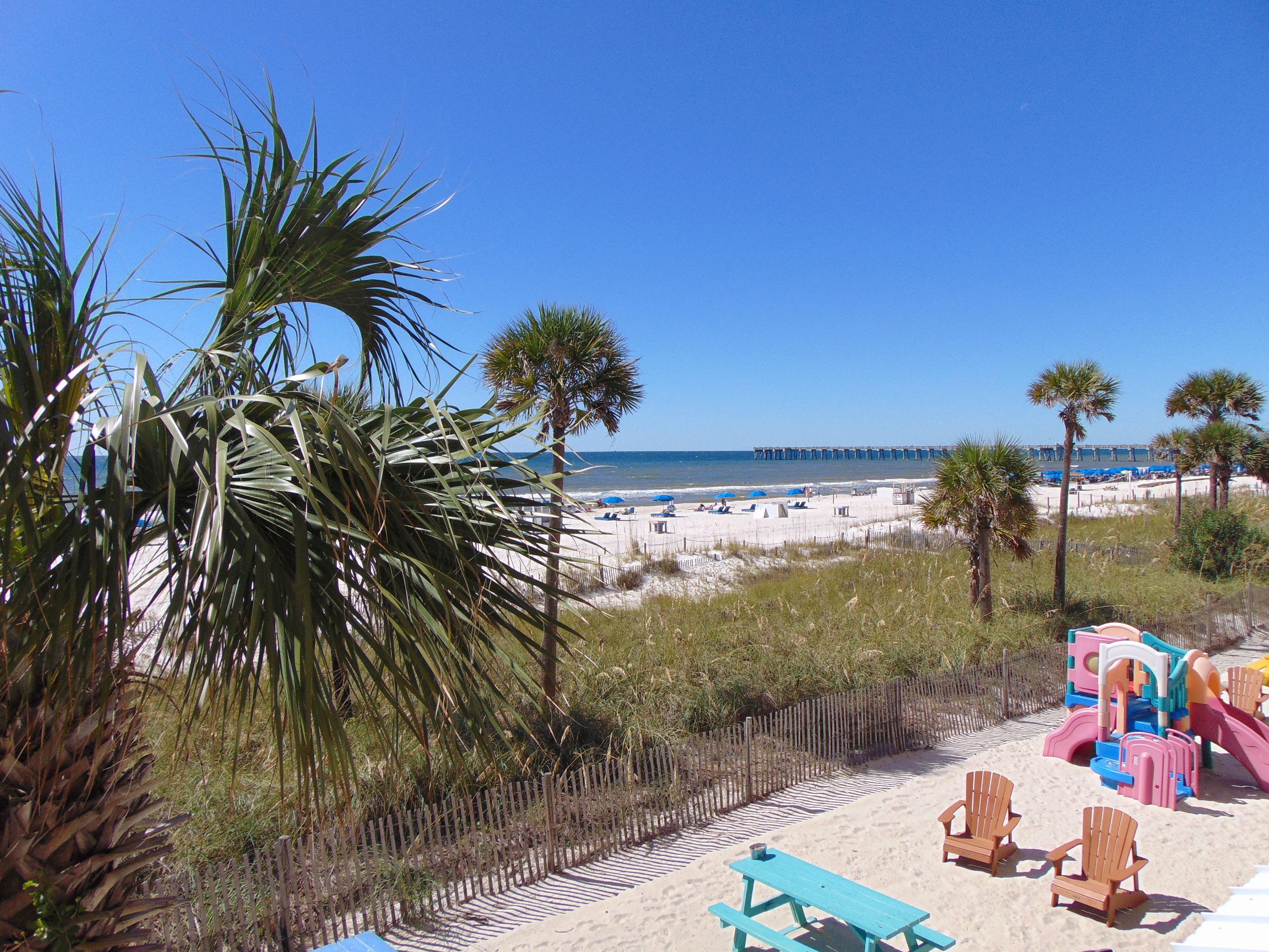 A beach with palm trees, a wooden fence, and beach chairs.