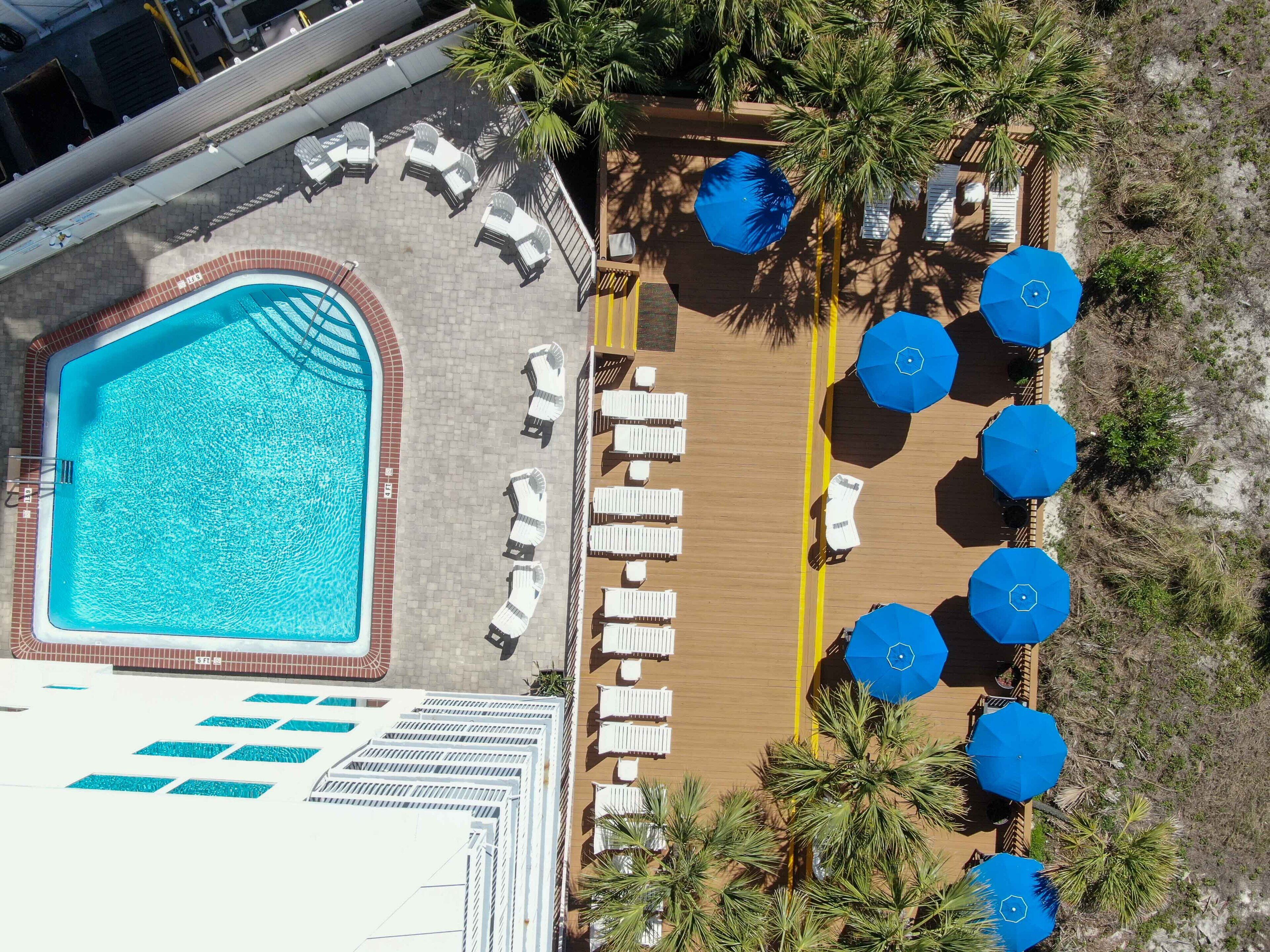 A rooftop pool area with lounge chairs and umbrellas, surrounded by palm trees.
