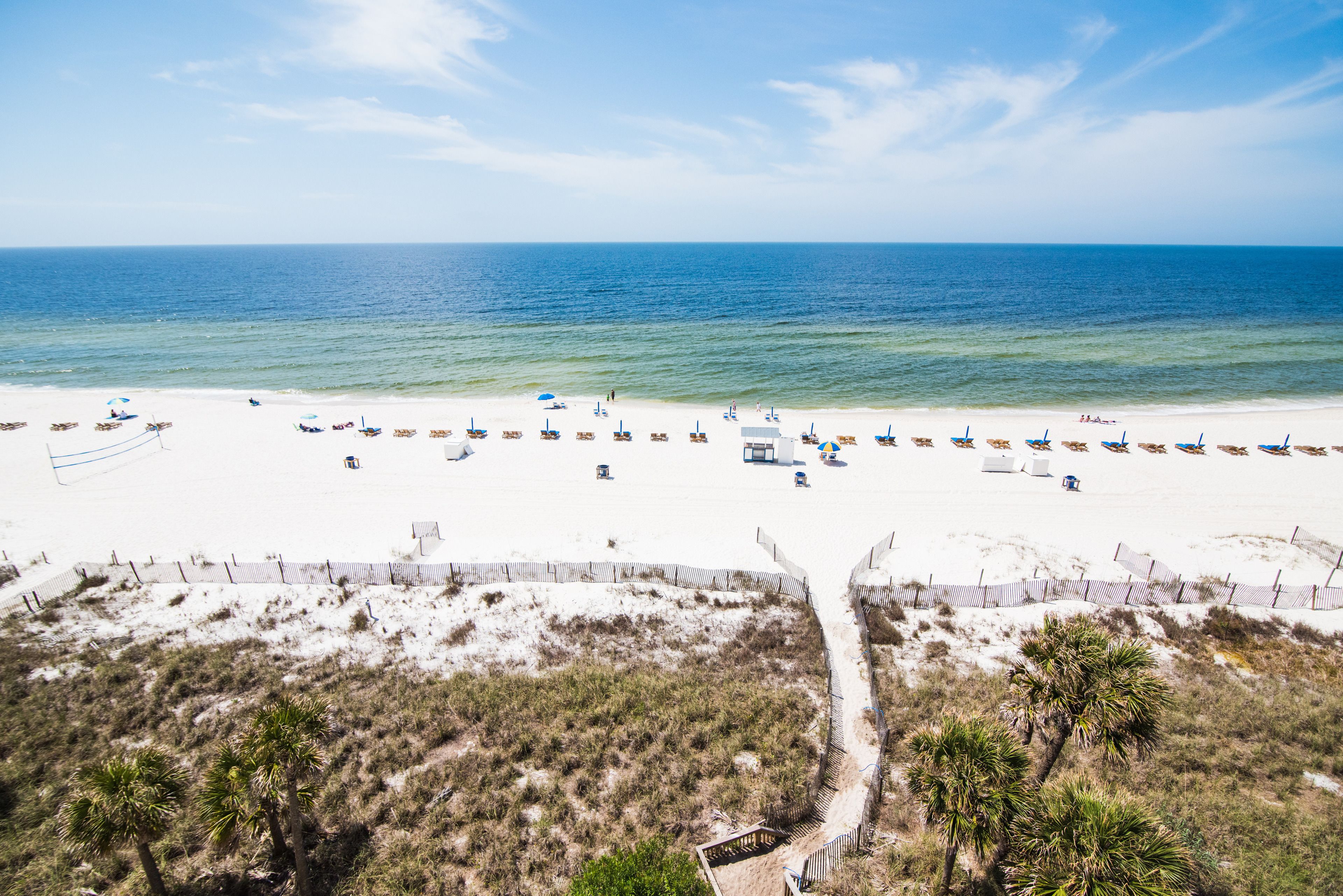 Une plage bordée de rangées de chaises longues et de parasols, un sentier sablonneux et une végétation clairsemée.