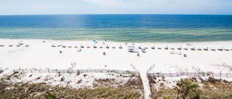A beach with rows of sun loungers and umbrellas, a sandy path, and sparse vegetation.