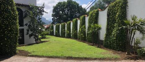 Un camino de entrada estrecho y pavimentado que conduce a un edificio blanco con techo de tejas.