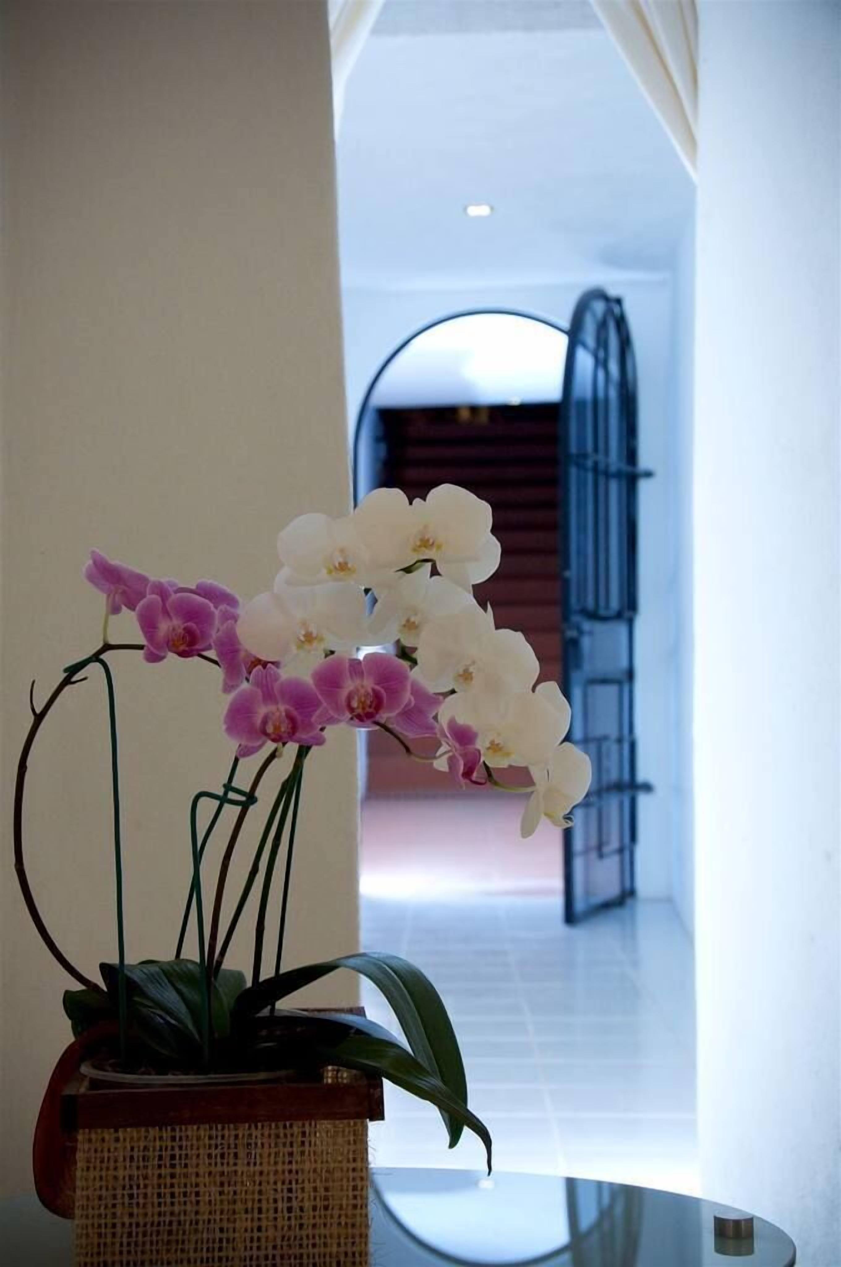 A potted orchid on a glass table in a hallway with a metal gate in the background.