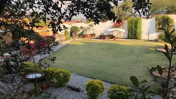 A well-maintained garden with a lawn, various plants, and outdoor furniture.