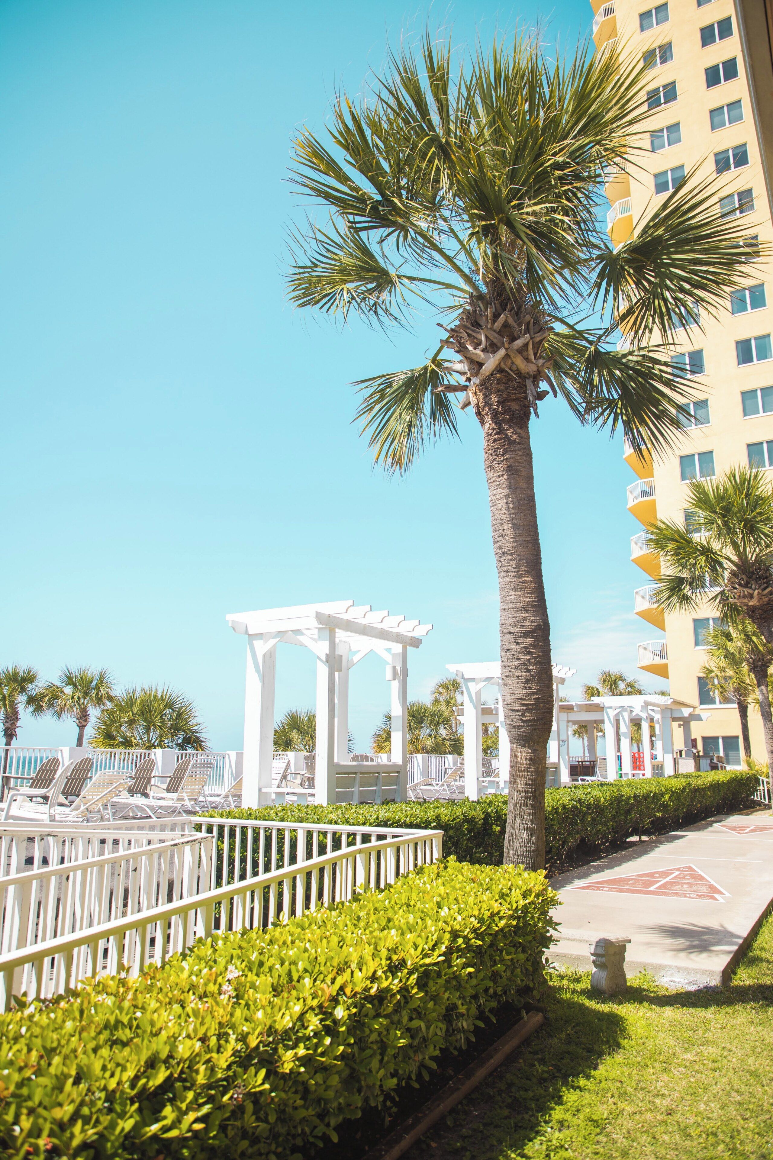 A white pergola, palm trees, and a building with balconies.