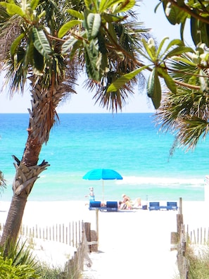 A beach with a palm tree, a blue umbrella, and a row of beach chairs.