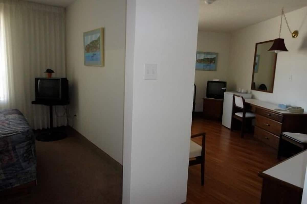 A hotel room with a bed, a desk, a chair, a television, and a mirror.