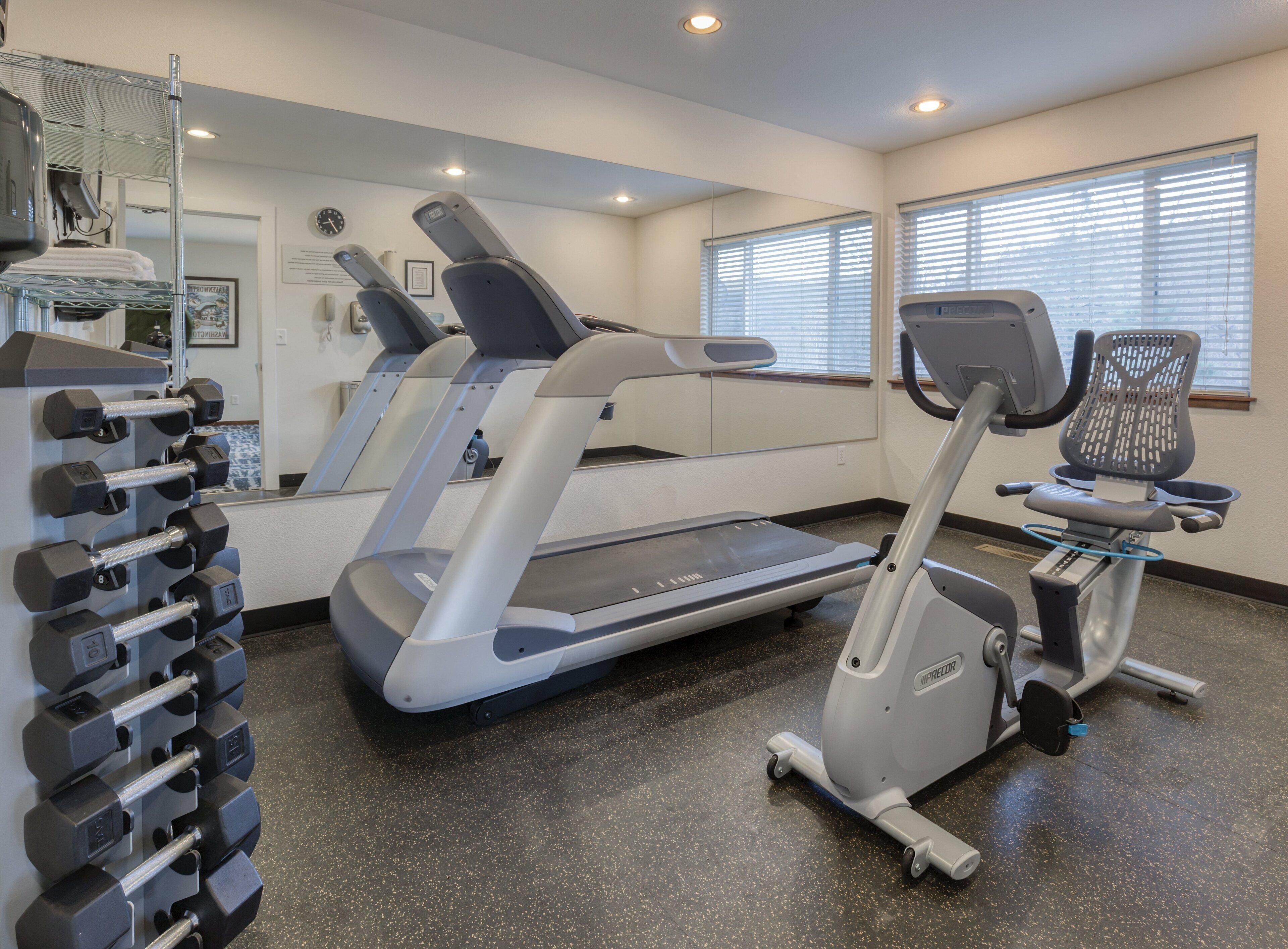 A gym with treadmills, elliptical machines, and a rack of dumbbells.