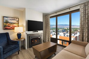 电视、DVD 播放器