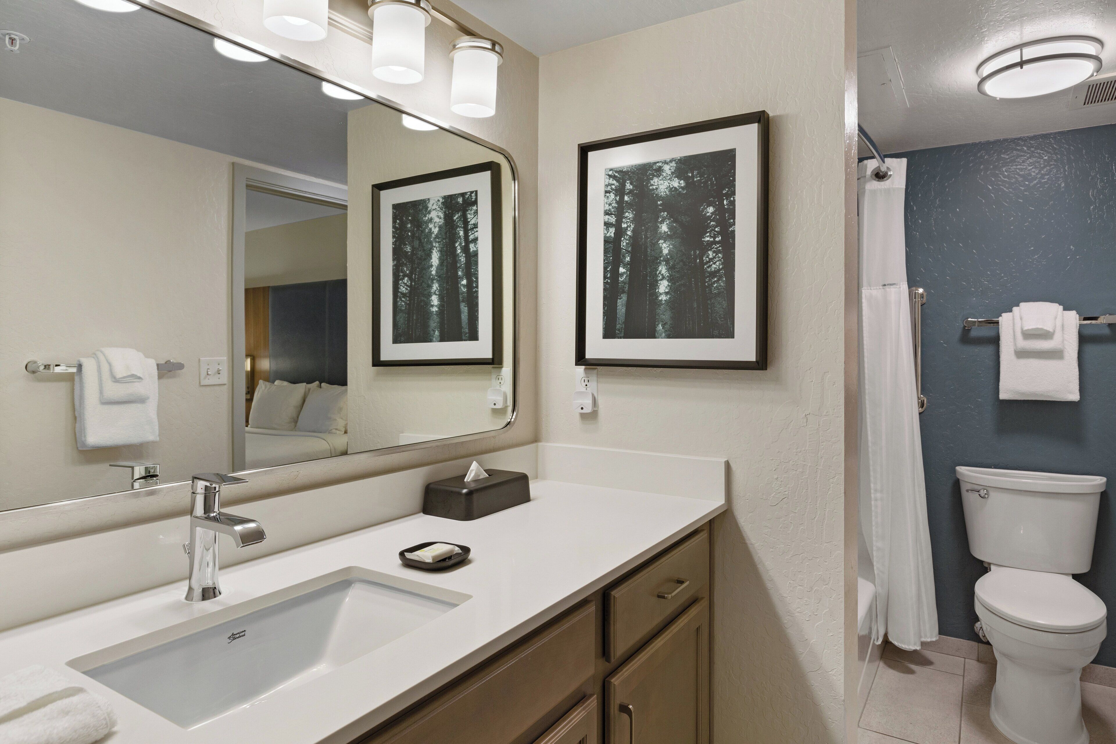 A bathroom with a white sink, a mirror, a framed picture of a forest, a toilet, and a shower curtain.