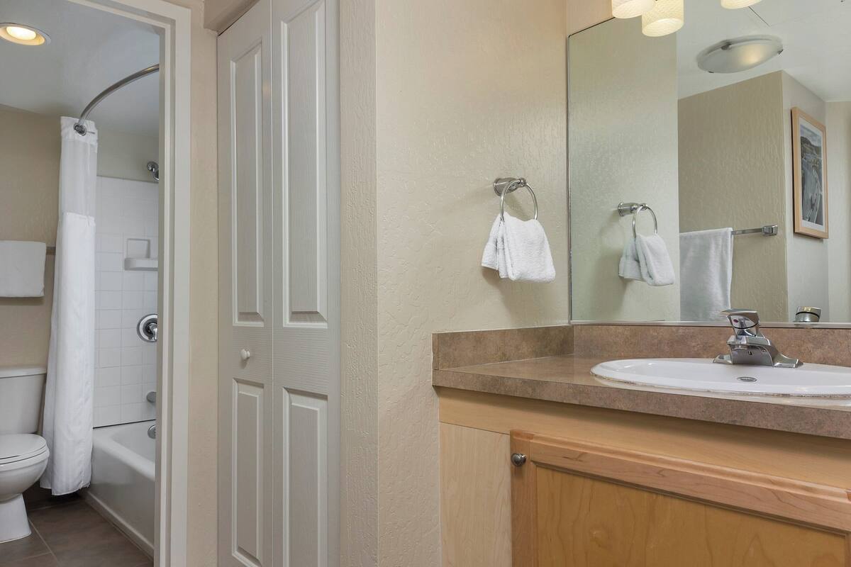 combined shower/bathtub, hair dryer, towels