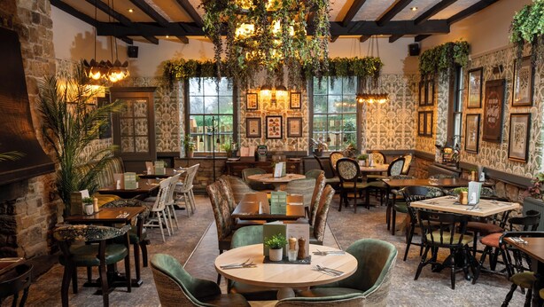 Un restaurant chaleureux avec des tables et des chaises en bois, des plantes suspendues et des tableaux encadrés aux murs.