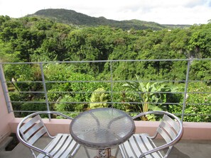 Maisonnette, 1 slaapkamer, niet-roken, uitzicht op vallei | Kameruitzicht