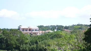 Halaman properti