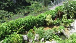 A lush garden with a variety of plants and a small stream. - Hibis Resort (Nakijin)