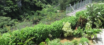 Hibis Resort
