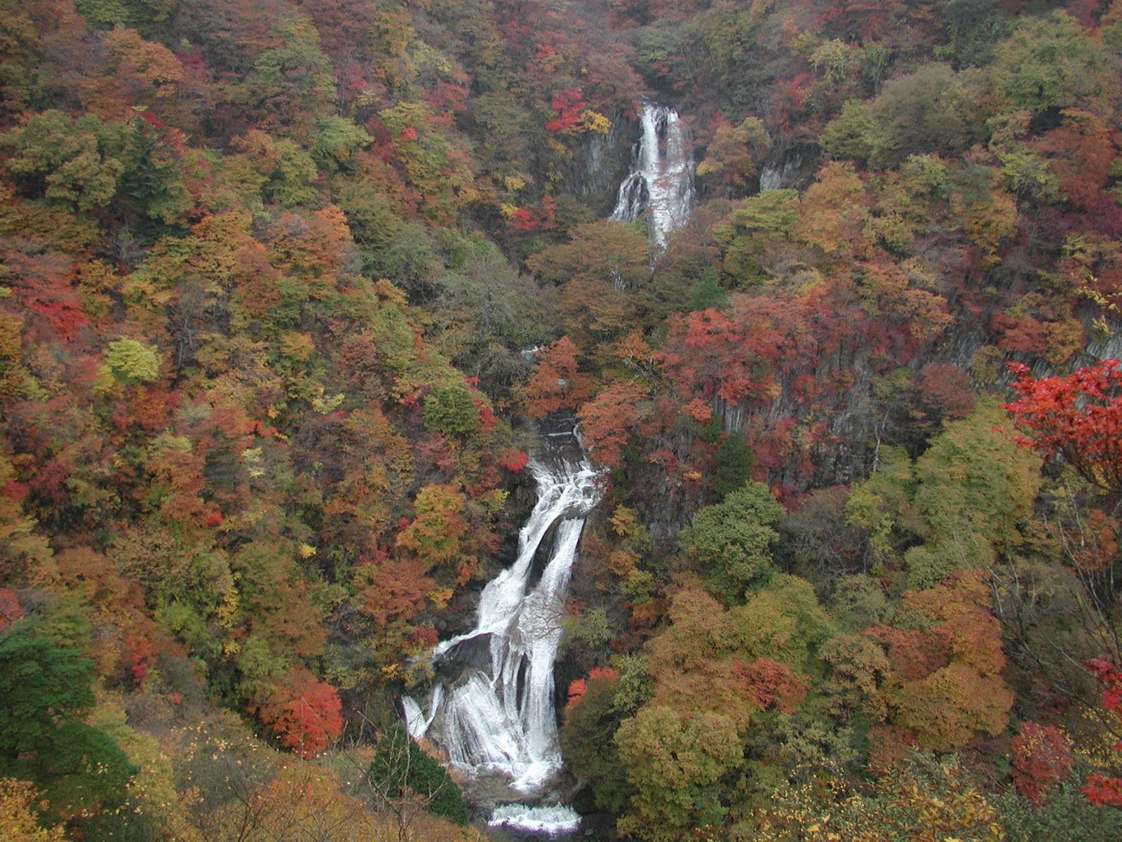 Une cascade entourée d’une forêt dense aux couleurs automnales.